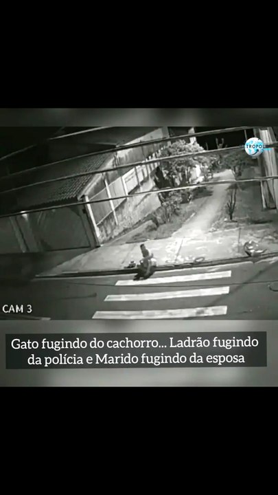 Normal Day In Brazil 🇧🇷🔥