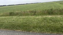 Les polders , immenses étendues d’herbes essentiellement.
