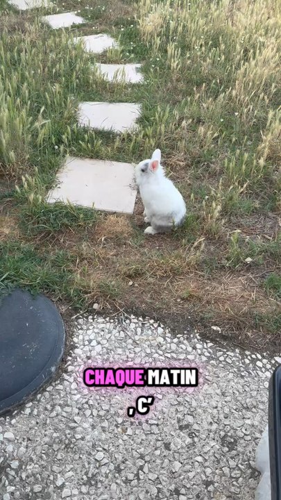 Gribouille a décidé qu’il était temps de partir en mission…