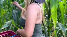 The plan also includes going to get some corn 😜