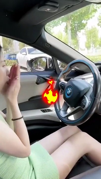 Car Windshield Sun Shade