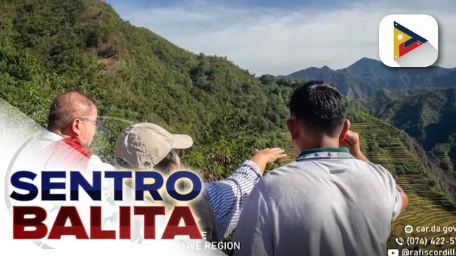 Batad Rice Terraces, target na i-rehabilitate ng Department of Agriculture; 2 agricultural tramlines sa Ifugao, aayusin din | ulat ni Anjel Kim Pengosro - PTV Cordillera