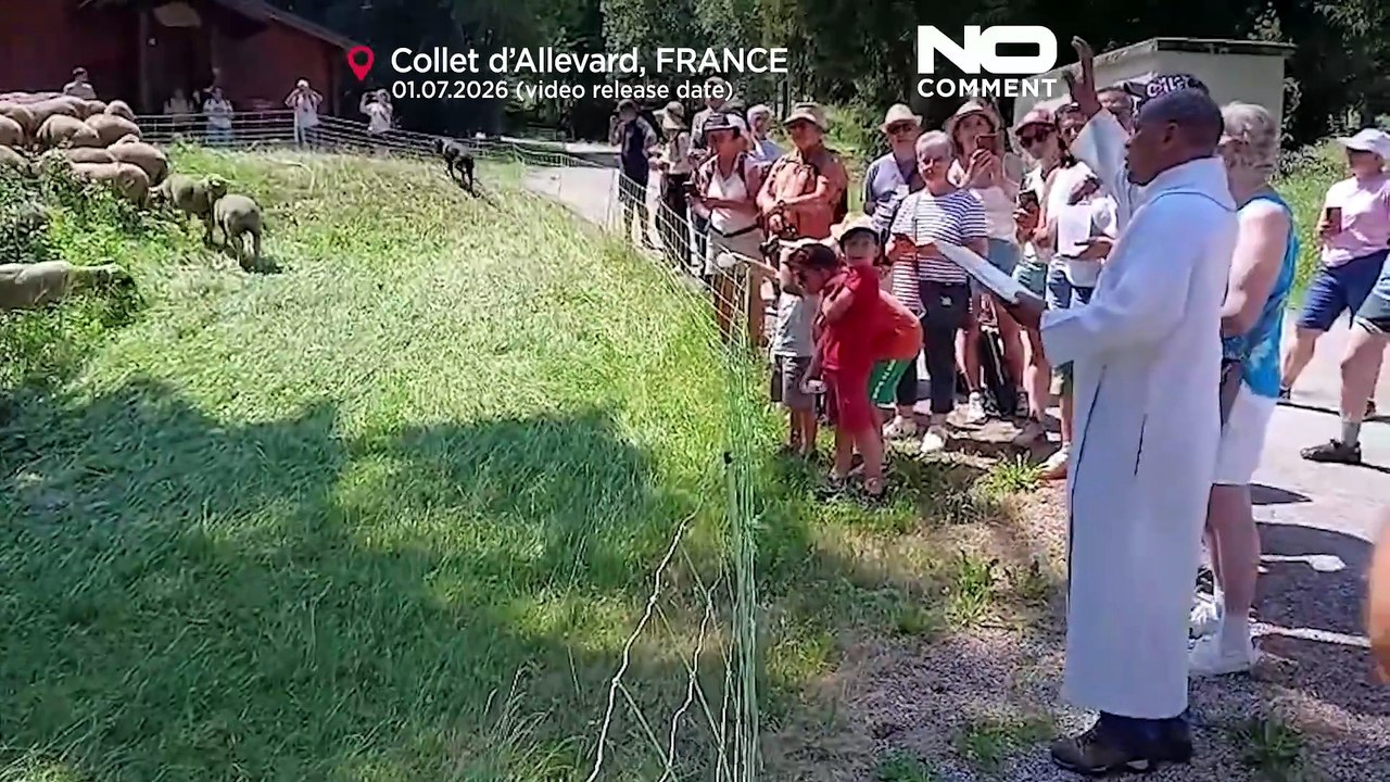بازگشت سنت کوچ دام‌ها به آلپ فرانسه