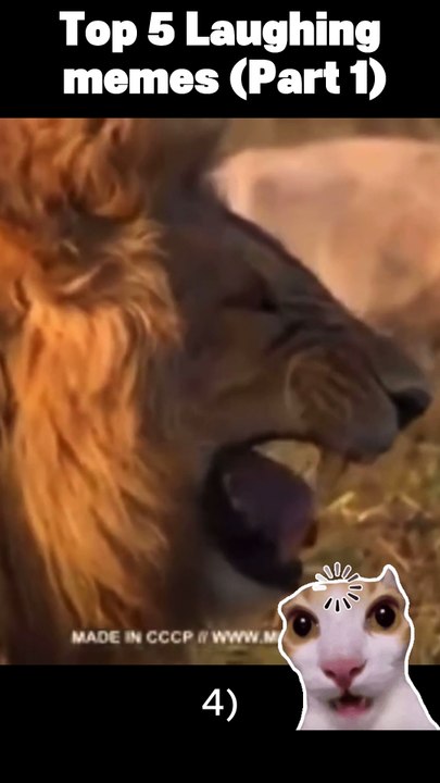 Laughing memes part 1