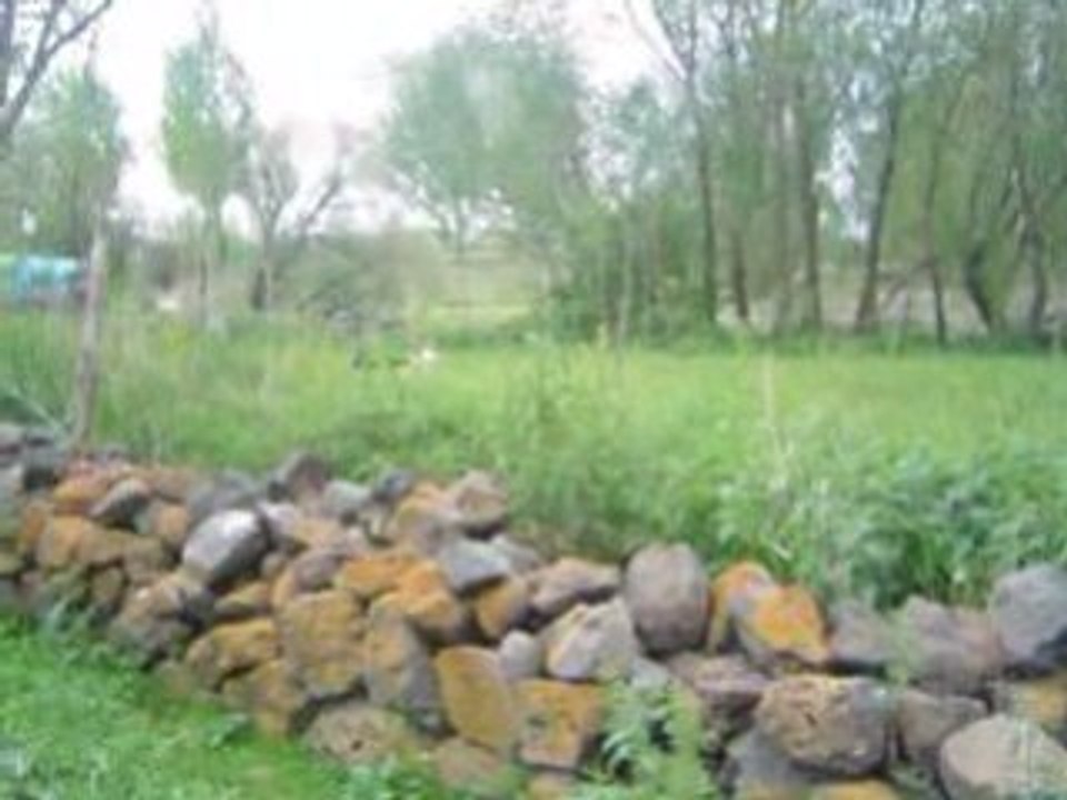 BASGEDIKLILER 2008 7