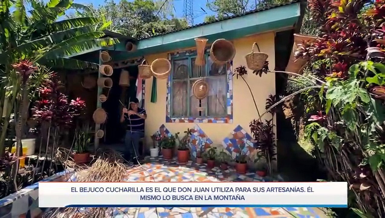 mqn-juan-lleva-40-anos-tejiendo-bejuco-con-manos-y-pies-y-su-casa-entera-cuenta-su-historia-080526 [Full Movie]