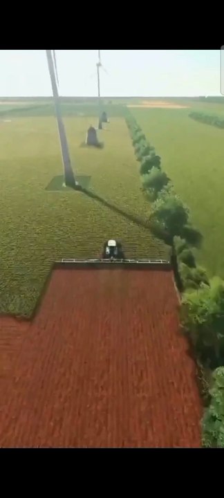 Oddly satisfying crop harvesting in Farming Siulator" 🚜🌾💕