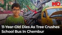 11-year-old dies as tree crushes school bus in Chembur