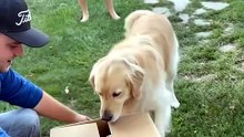 He Had NO IDEA What Was in the Box! 🥹📦