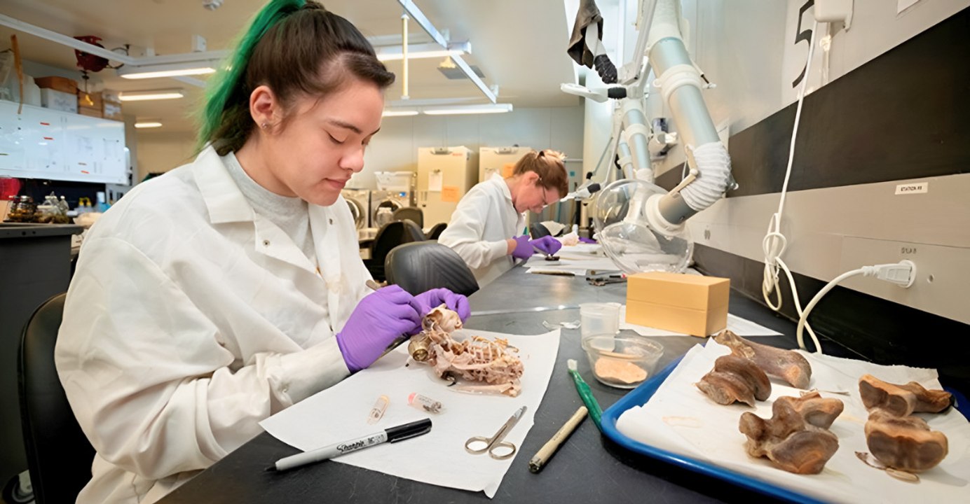 Ancient DNA Reveals People Lived at Gateway Between the Americas