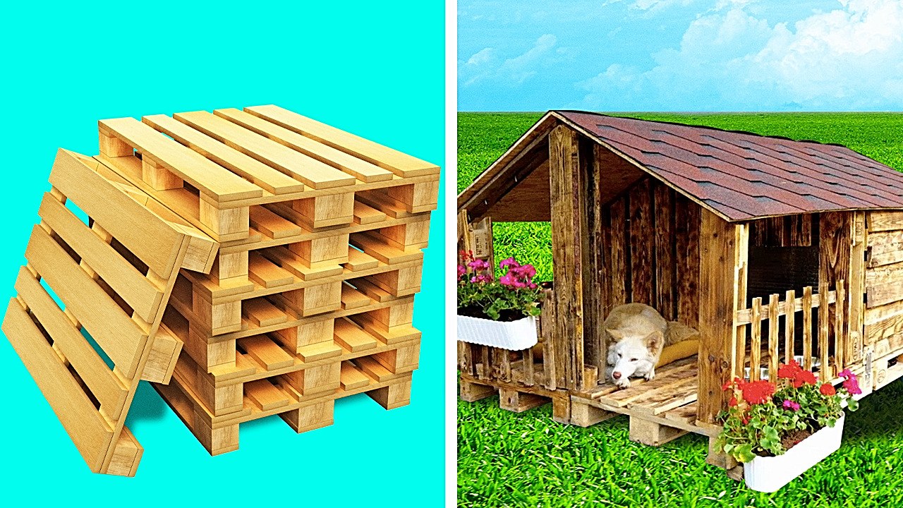 Creative Dog Houses That Will Make Your Pet Feel Right at Home
