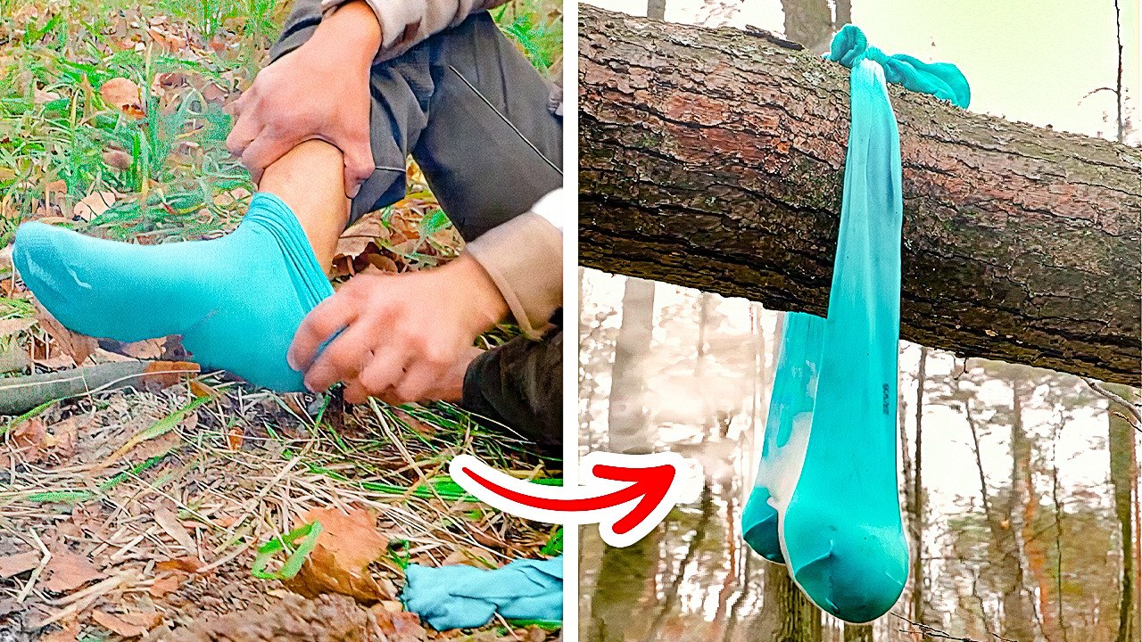 Remote wilderness survival: Cooking quail and foraging pine treats