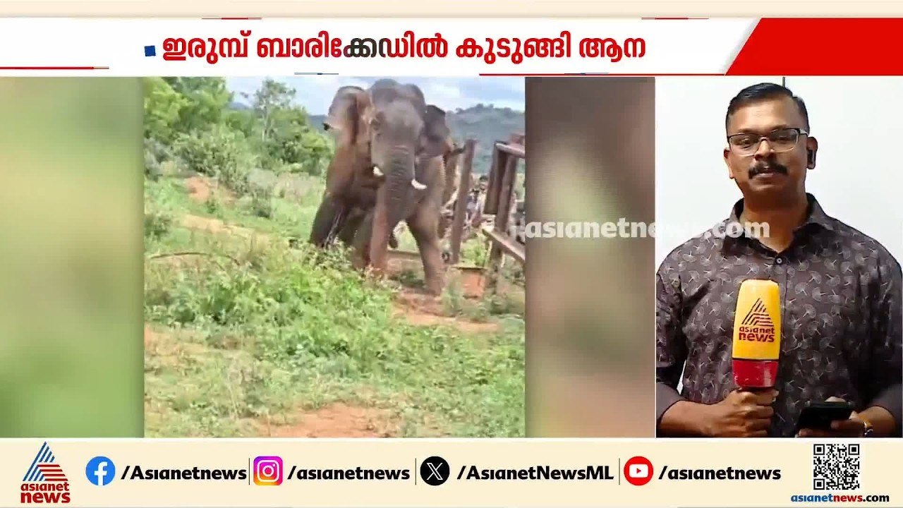 കർണാടകയിലെ അരകൊപ്പയിൽ ഇരുമ്പ് ബാരിക്കേഡിൽ കുടുങ്ങിയ ആനയെ രക്ഷപ്പെടുത്തി