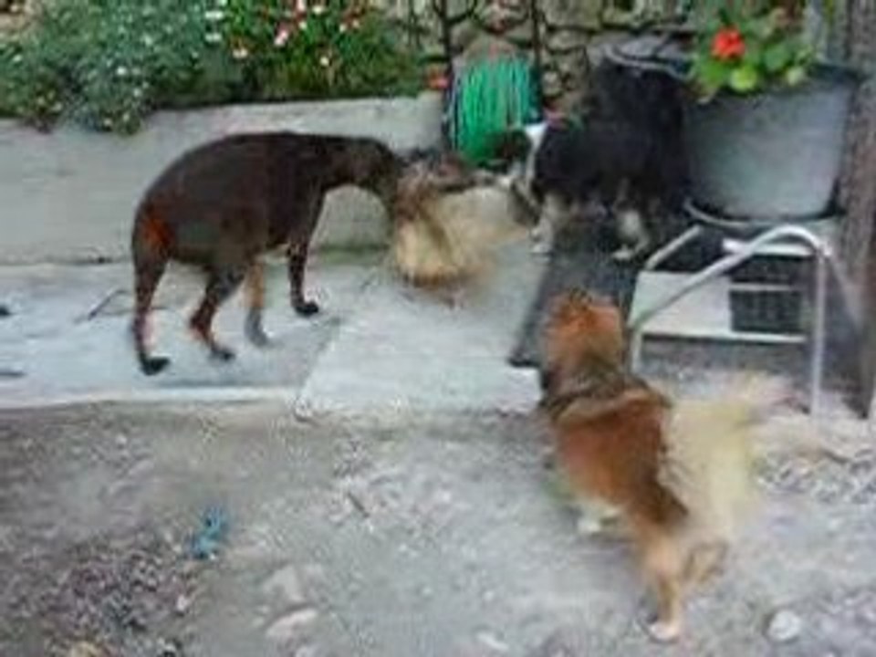 DSCN2807