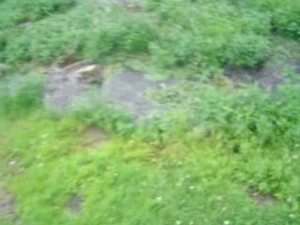 BASGEDIKLILER 2008 22