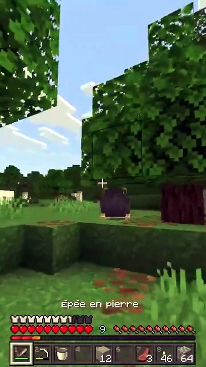 Rats contre Loups, QUI GAGNE ? #minecraft #bedrock #clips