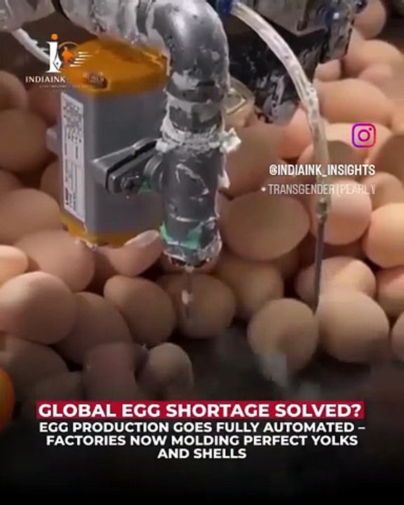 Artificial Eggs Production 😷