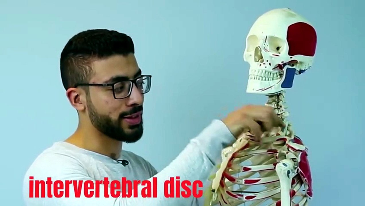 026 - 3 تمرينات و وداعا آلام الرقبة !!! -  neck pain exercises