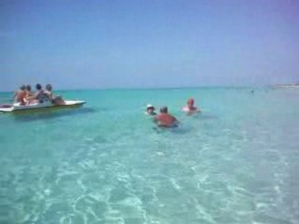 En direct de l'eau !