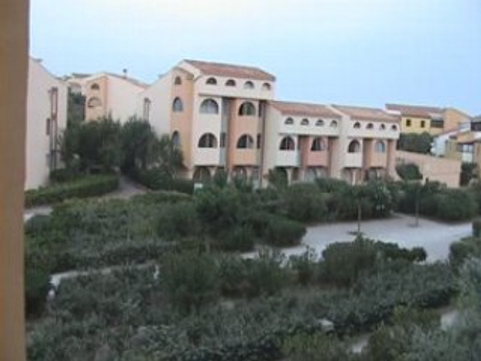 Les oiseaux de Port leucate le matin