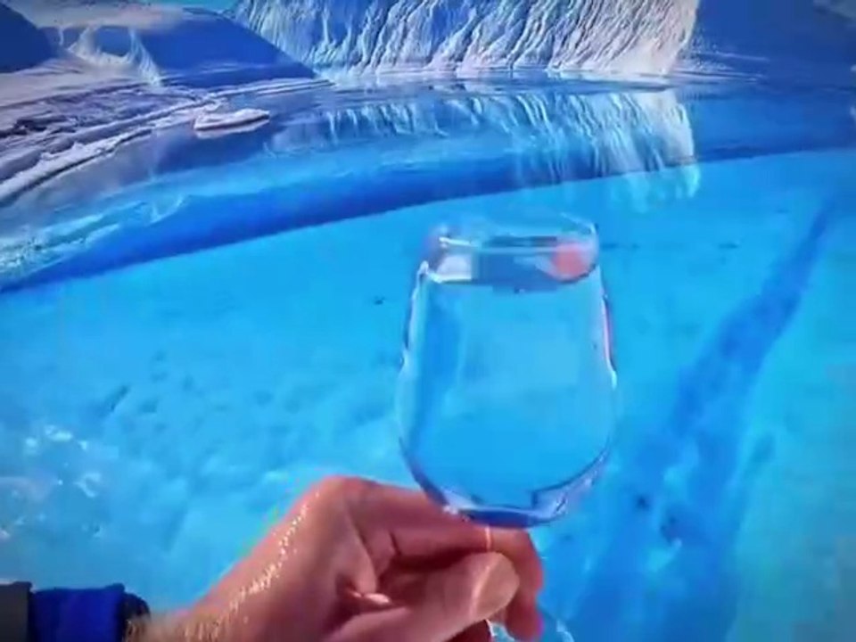Curiosidades da antartida