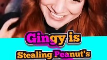 Gingy’s devious plan to leave Peanut fending for himself 🤣🔊