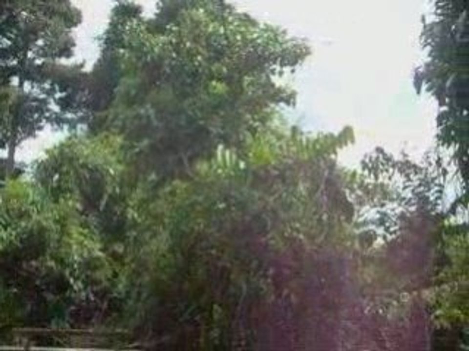 S6301558