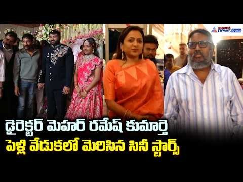 డైరెక్టర్ మెహర్ రమేష్ కుమార్తె పెళ్లి వేడుకలో మెరిసిన సినీ స్టార్స్| Meher Ramesh Daughter Reception