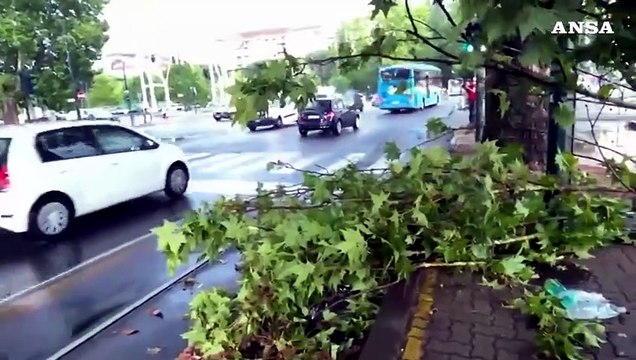 Maltempo a Torino, pioggia e vento abbattono diversi alberi in città