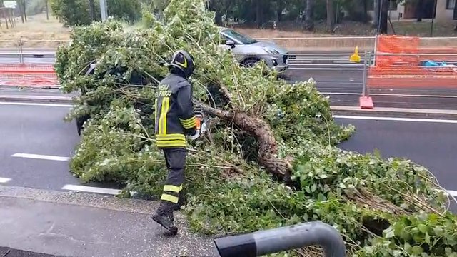 Tronco di un albero cade su un'auto in viale Aldo Moro: il video