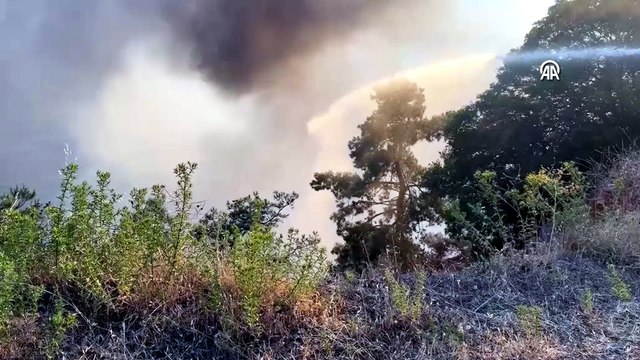 Büyükada'da plajdaki restoranda başlayıp ormanlık alana sıçrayan yangına müdahale ediliyor
