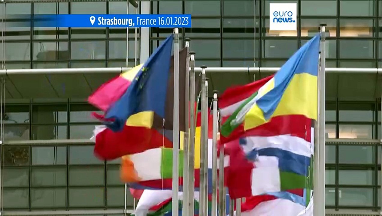 European Parliament to start procedure to ban Alternative for Germany’s EU party