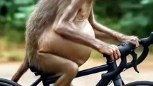 Quando o Final de Semana Finalmente Chega! 🚴‍♂️💨