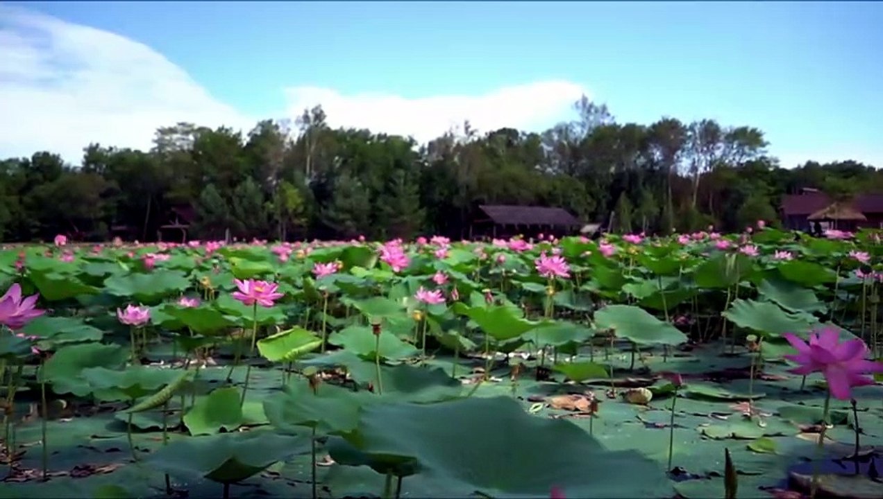 Inspiring Instrumental Music for Inner Peace