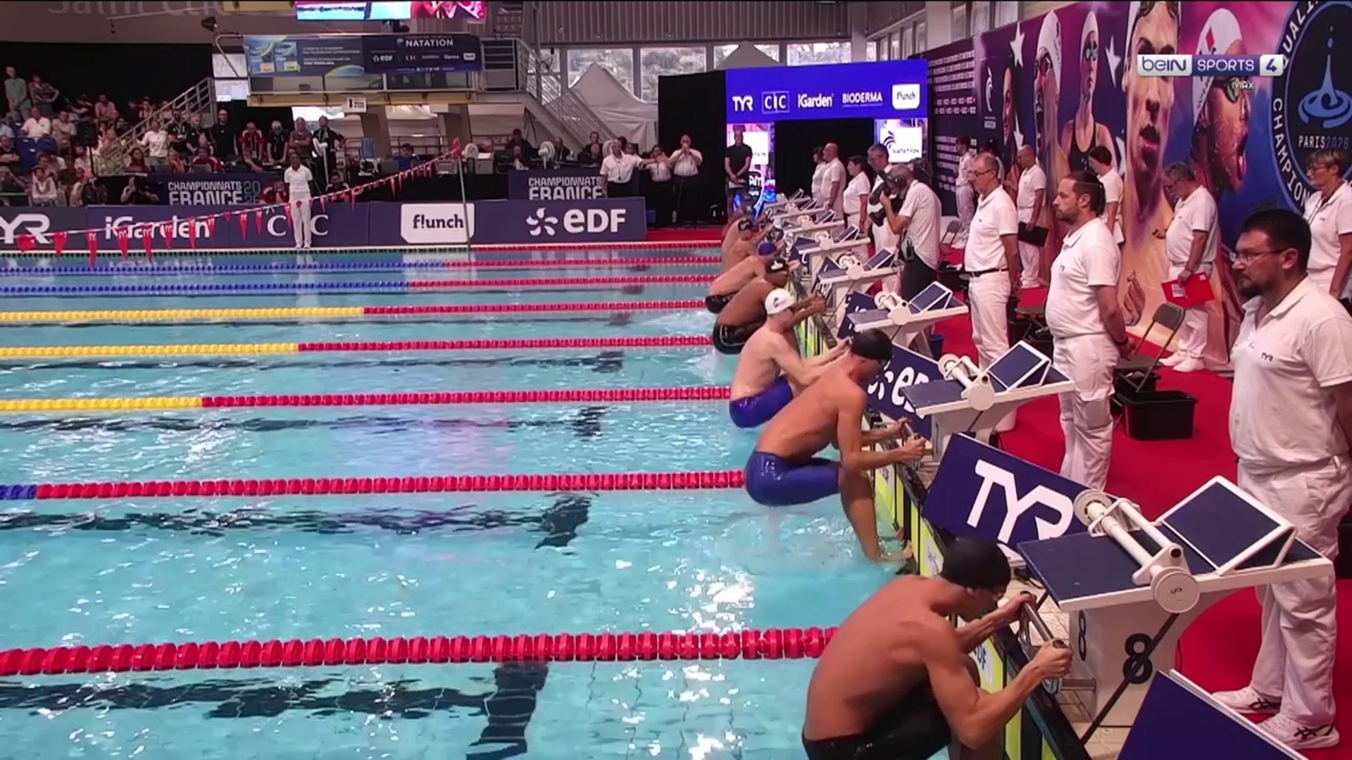 😱 C'est le moment insolite de la journée en natation !