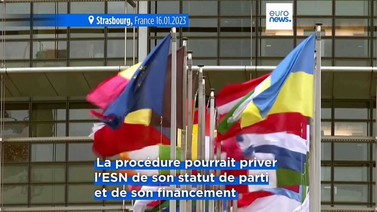 Le Parlement européen lance une procédure pour bannir le parti européen fondé par l’AfD