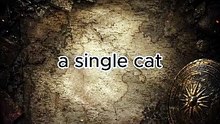 Why Were Cats Worshipped in Ancient Egypt?
