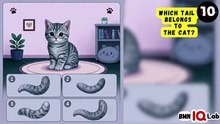 #PuzzleTime 🧩⏱️ Which Tail Belongs to the Cat? 😺