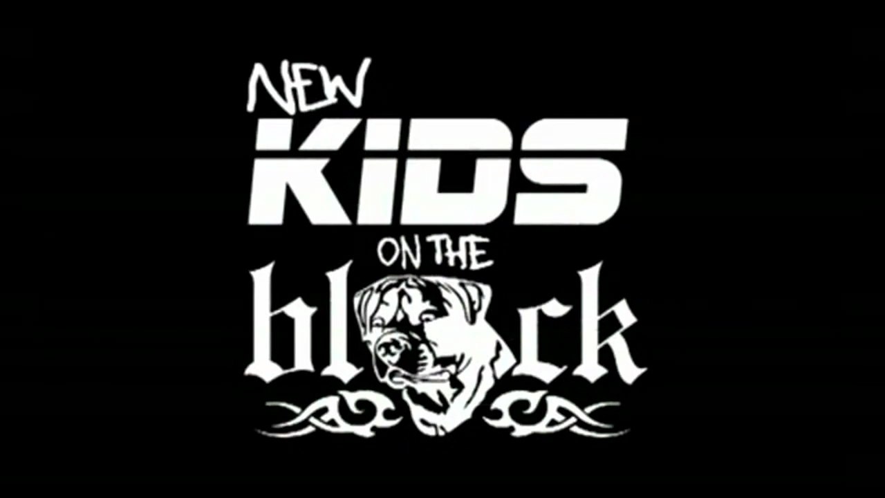 New Kids Seizoen 2 (2008)