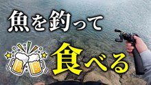 【穴釣り】魚を釣って食べる！良型カサゴで作る最高に美味しい料理！