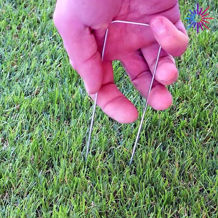 Try this grass hack for the summer!
