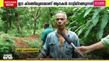 'കിടങ്ങ് വെച്ചു, പക്ഷേ ആന മുതൽ പോത്ത് വരെ വരും; രാത്രിയിൽ കിടന്നുറങ്ങാൻ പോലുമാവില്ല' | Kottayam