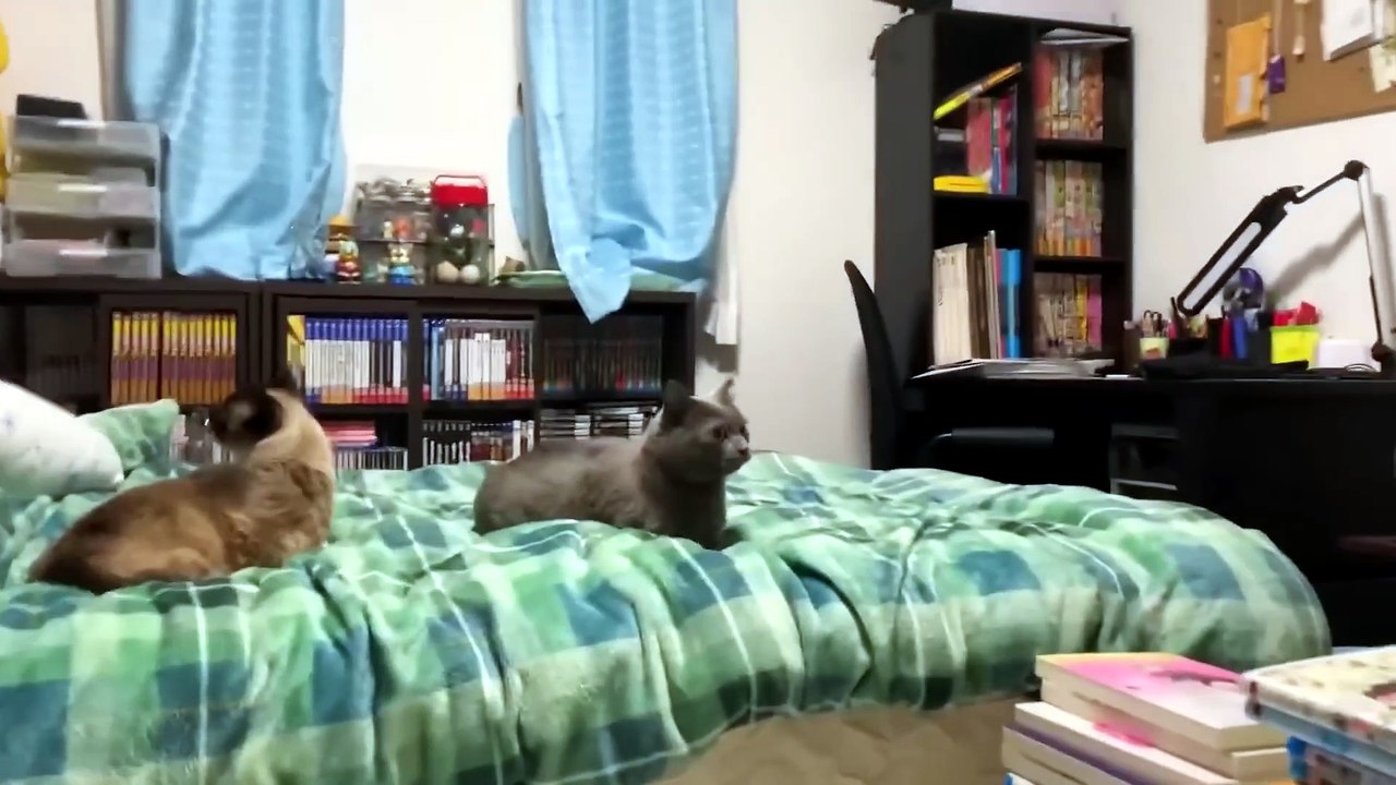 60 Times Mother Nature Got Angry on Camera