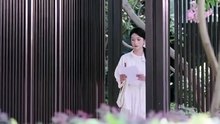 A Harbor in the Storm Drama English Sub Full Movie [ New Releases 2026] (1)