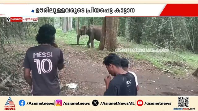 'ലക്ഷ്മി' ഞങ്ങളുടെ സുഹൃത്താണ്...' ചന്ദ്രോത്ത് ഉന്നതിയിലെ അതിഥിയെ പരിചയപ്പെടാം