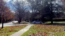 The forgotten Canberra bus shelters older than the city’s iconic concrete bunkers