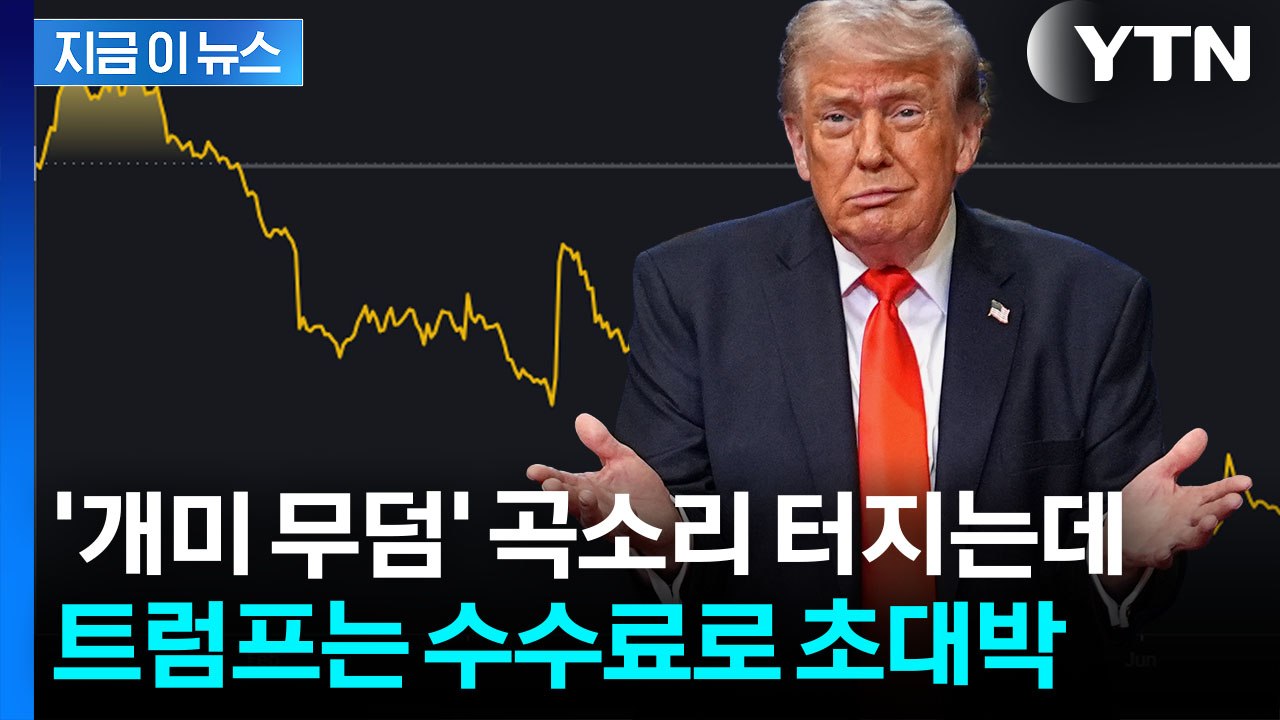 믿고 산 개미들 '휴지조각'…트럼프는 수수료로만 1조 원 '꿀꺽' [지금이뉴스] / YTN