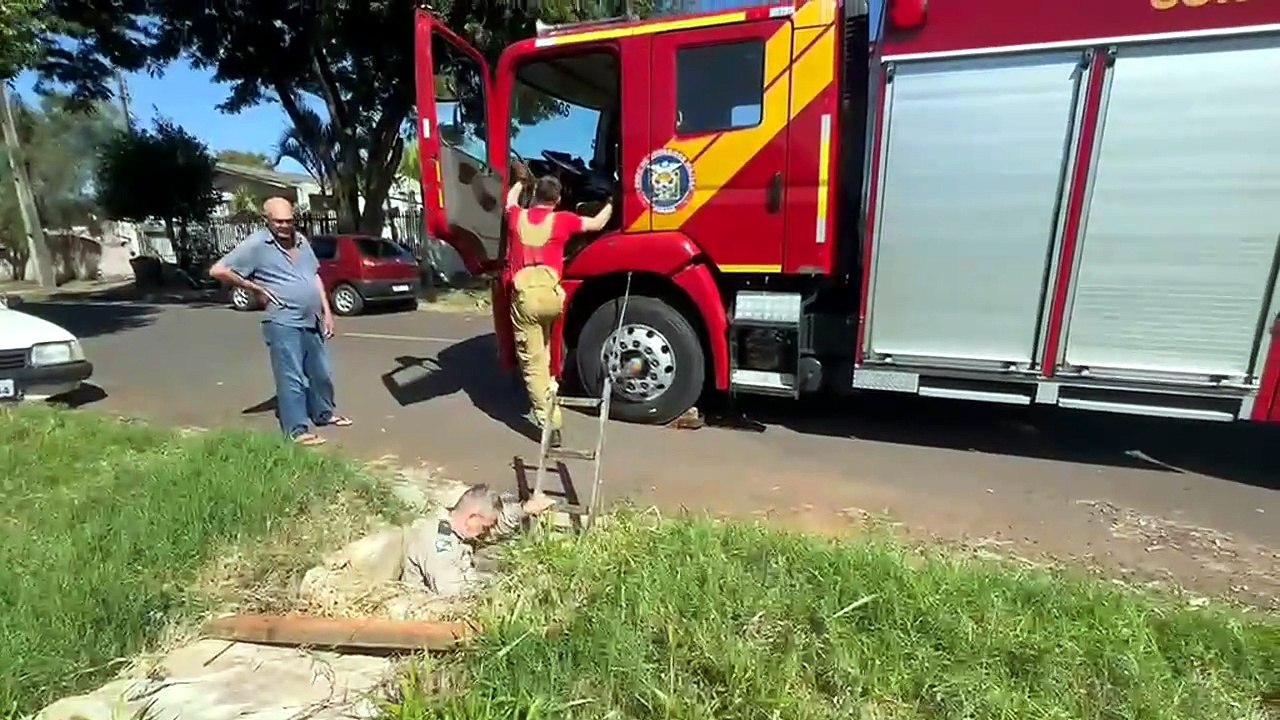 'Bicho não é lixo': cão cego é resgatado de bueiro após possível abandono em Umuarama