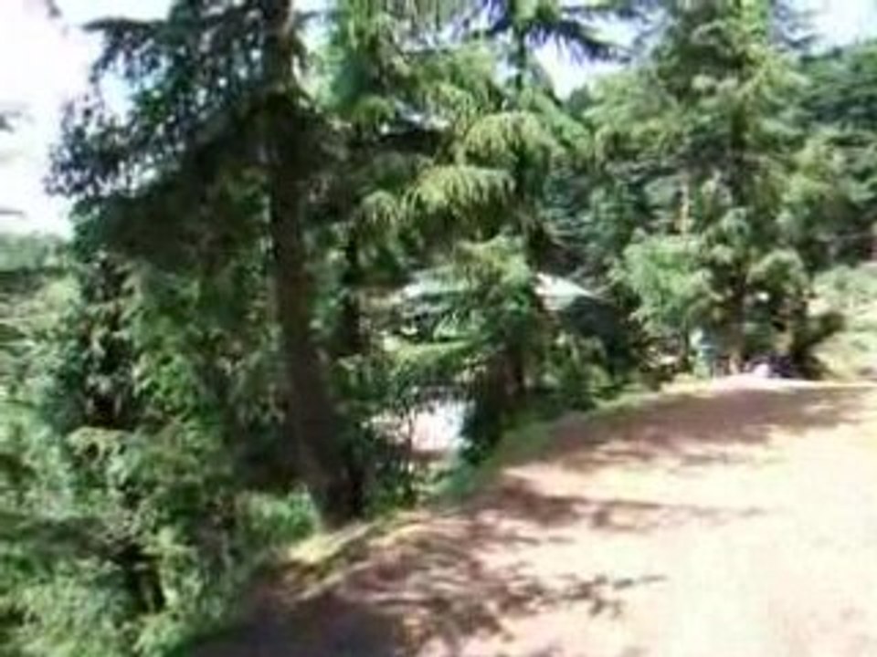 Dharamkoth