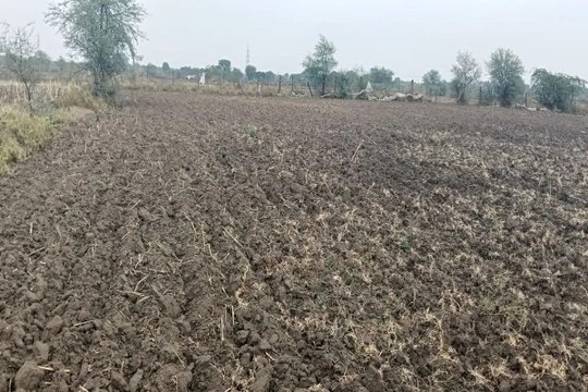swm news: मानसून की बेरुखी: रफ्तार नहीं पकड़ पा रही खेतों में खरीफ की बुवाई